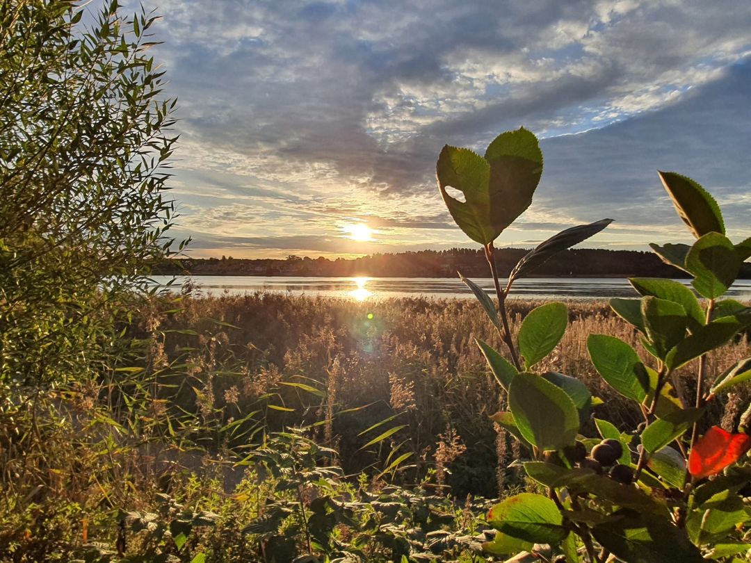 Jaunā mēness vibrācijās esot, vēstījums no grāmatas Eņģeļu dārzā
