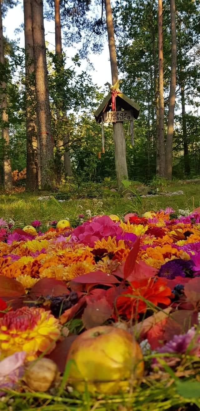Vēstījums par rudens saulgriežiem no Erceņģeļa Samuēla.